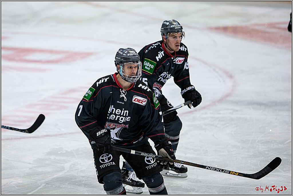 DEL, Koelner Haie - Augsburger Panther, 13.01.2017